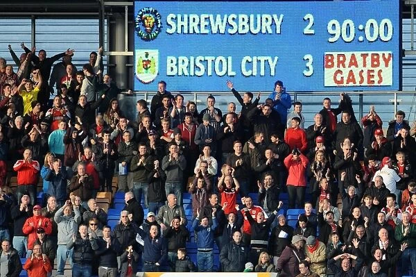 Bristol City Fans in Action at Shrewsbury Town's New Meadow, March 2014