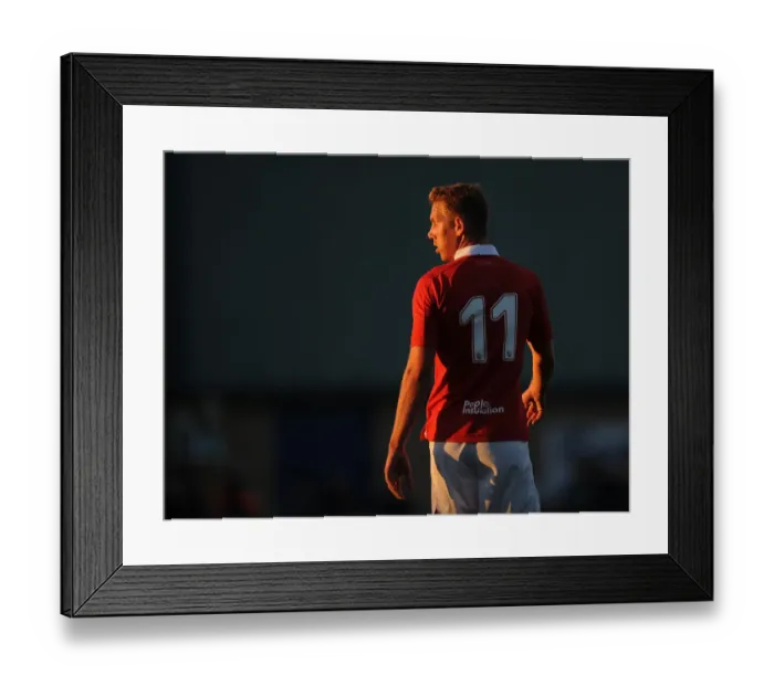 Framed Print : Bristol City v AFC Telford United 071214 Framed Print : Bristol City v AFC Telford United 071214