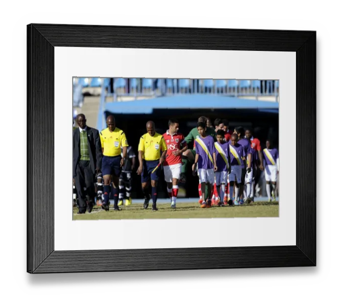 Framed Print : Bristol City FC: The Team's Grand Entrance at Extension Gunners Match, 2014 Framed Print : Bristol City FC: The Team's Grand Entrance at Extension Gunners Match, 2014