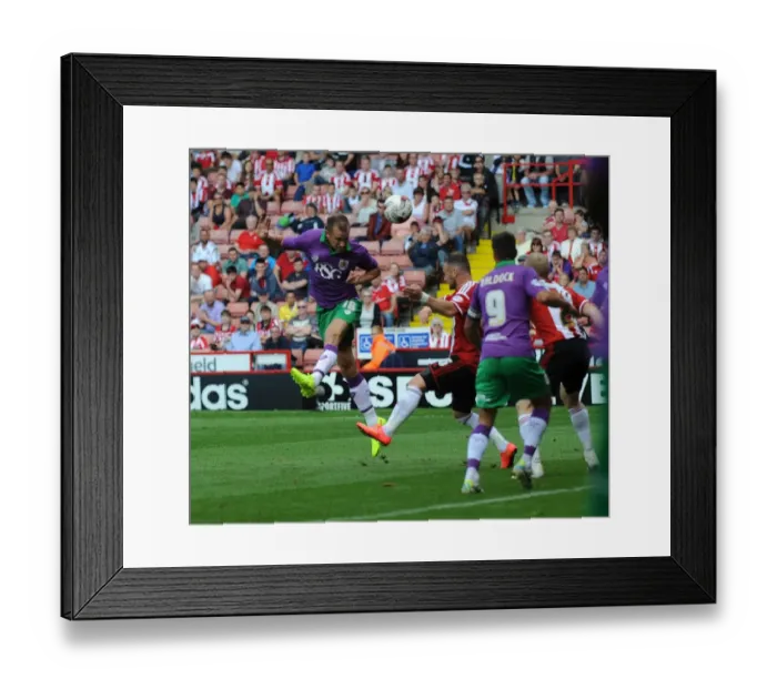 Framed Print : Aaron Wilbraham Scores the First Goal for Bristol City in the 2014-15 League One Season at Bramal Lane against Sheffield United