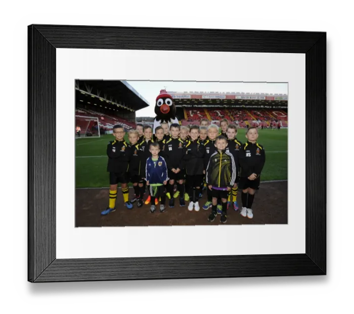 Framed Print : Bristol City vs Oxford United: Flag Bearers at Ashton Gate, Capital One Cup First Round