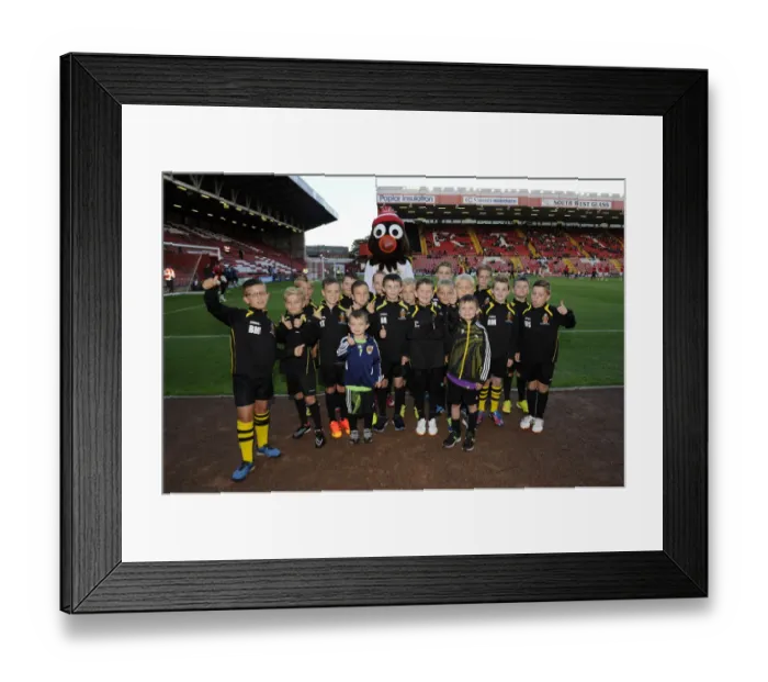 Framed Print : Bristol City Flag Bearers Clash: Capital One Cup First Round vs Oxford United Framed Print : Bristol City Flag Bearers Clash: Capital One Cup First Round vs Oxford United