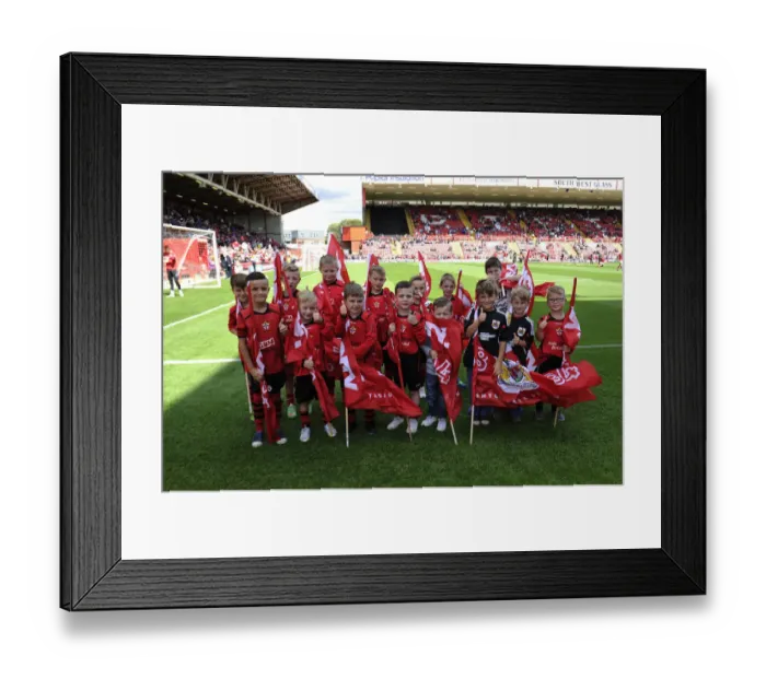 Framed Print : Bristol City Flagbearers in Action: Sky Bet League One Match against Colchester United