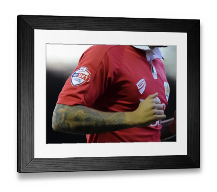Framed Print : Bristol City vs Leyton Orient Clash in Sky Bet League One at Ashton Gate, 2014 Framed Print : Bristol City vs Leyton Orient Clash in Sky Bet League One at Ashton Gate, 2014