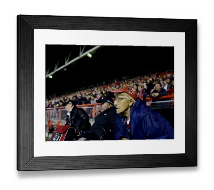 Framed Print : Intense Focus: A Bristol City Fan Caught in the Moment at Ashton Gate Framed Print : Intense Focus: A Bristol City Fan Caught in the Moment at Ashton Gate