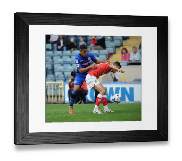 Framed Print : Bristol City's Sam Baldock Faces Off Against Rochdale's Bastien Hery in League One Clash