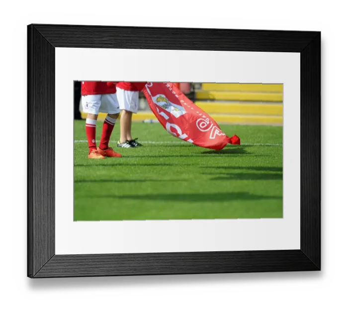 Framed Print : Bristol City Welcome Scunthorpe United with Guard of Honor at Ashton Gate Framed Print : Bristol City Welcome Scunthorpe United with Guard of Honor at Ashton Gate