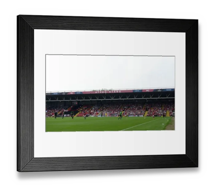 Framed Print : Bristol City vs Scunthorpe United: A Sky Bet League One Battle at Ashton Gate, September 2014 Framed Print : Bristol City vs Scunthorpe United: A Sky Bet League One Battle at Ashton Gate, September 2014