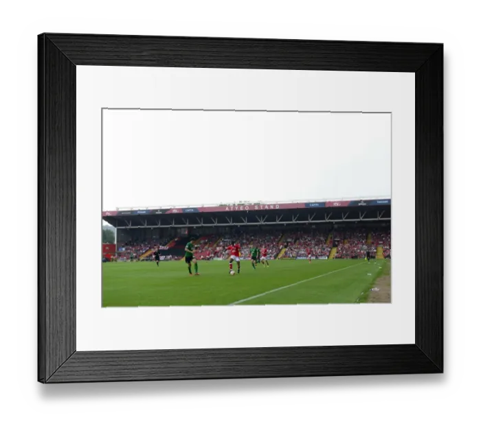 Framed Print : Bristol City vs Scunthorpe United: A Sky Bet League One Battle at Ashton Gate, September 2014