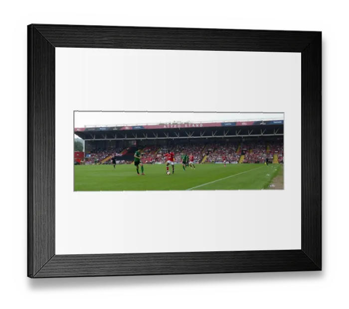 Framed Print : Sky Bet League One: Bristol City vs Scunthorpe United at Ashton Gate, September 2014 Framed Print : Sky Bet League One: Bristol City vs Scunthorpe United at Ashton Gate, September 2014