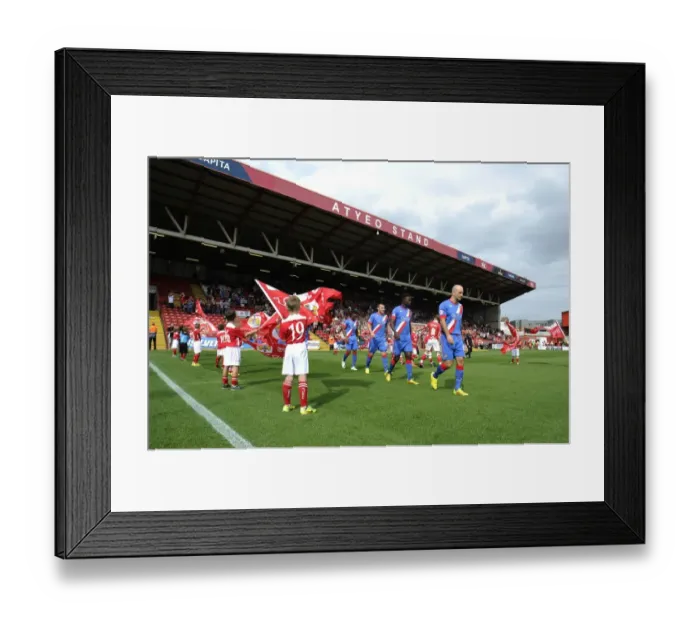 Framed Print : Flag Bearers and Guard of Honor at Ashton Gate: Bristol City vs Doncaster Rovers, Sky Bet League One Framed Print : Flag Bearers and Guard of Honor at Ashton Gate: Bristol City vs Doncaster Rovers, Sky Bet League One