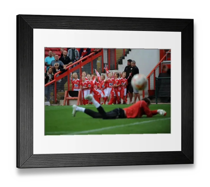 Framed Print : Bristol City Football Club: Doncaster Rovers Honor Guard at Ashton Gate (Sky Bet League One, September 13, 2014)