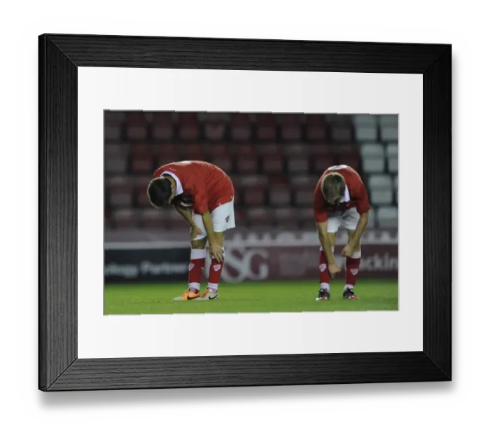 Framed Print : Bristol City U21s Suffer 0-2 Defeat Against Crystal Palace U21s at Ashton Gate, September 15, 2014 Framed Print : Bristol City U21s Suffer 0-2 Defeat Against Crystal Palace U21s at Ashton Gate, September 15, 2014