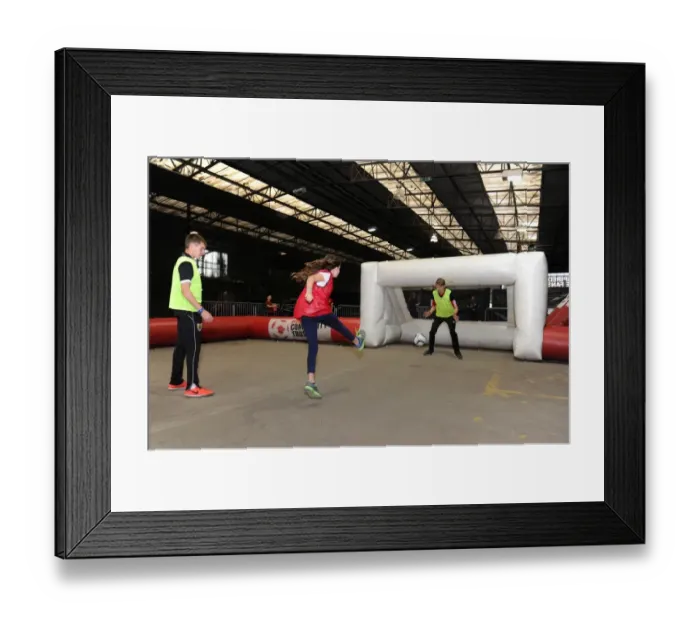 Framed Print : Bristol City Football Club at Ashton Gate: Sky Bet League One Clash Against MK Dons (September 2014)