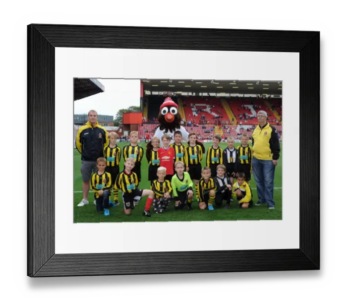Framed Print : Bristol City Welcomes MK Dons: Guard of Honor at Ashton Gate, September 2014 Framed Print : Bristol City Welcomes MK Dons: Guard of Honor at Ashton Gate, September 2014