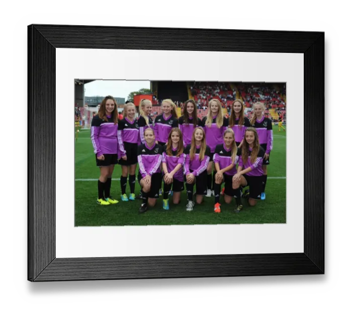Framed Print : Bristol City Greets MK Dons with Guard of Honor at Ashton Gate, September 2014 Framed Print : Bristol City Greets MK Dons with Guard of Honor at Ashton Gate, September 2014