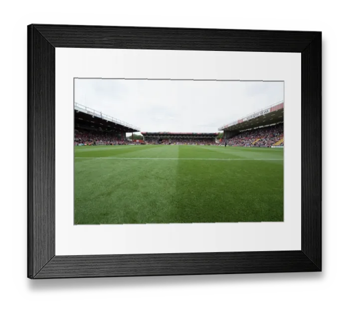 Framed Print : Bristol City vs MK Dons Clash in Sky Bet League One at Ashton Gate, September 2014 Framed Print : Bristol City vs MK Dons Clash in Sky Bet League One at Ashton Gate, September 2014