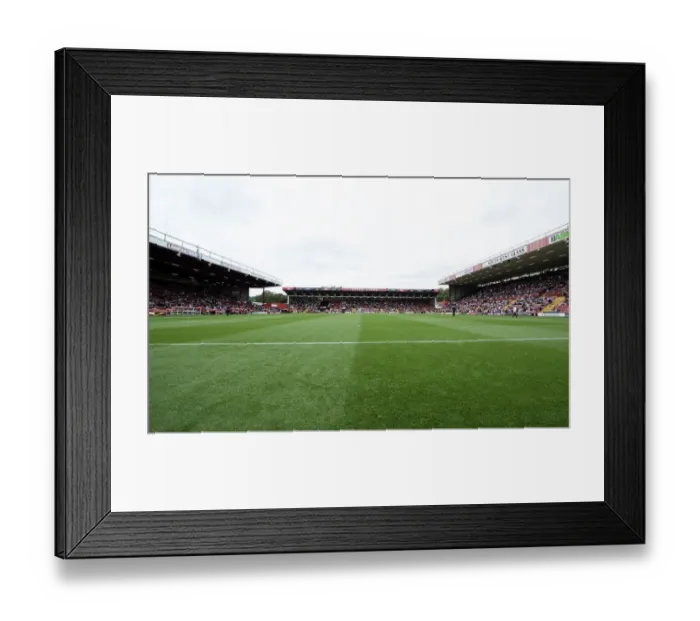Framed Print : Bristol City vs MK Dons Clash in Sky Bet League One at Ashton Gate, September 2014 Framed Print : Bristol City vs MK Dons Clash in Sky Bet League One at Ashton Gate, September 2014
