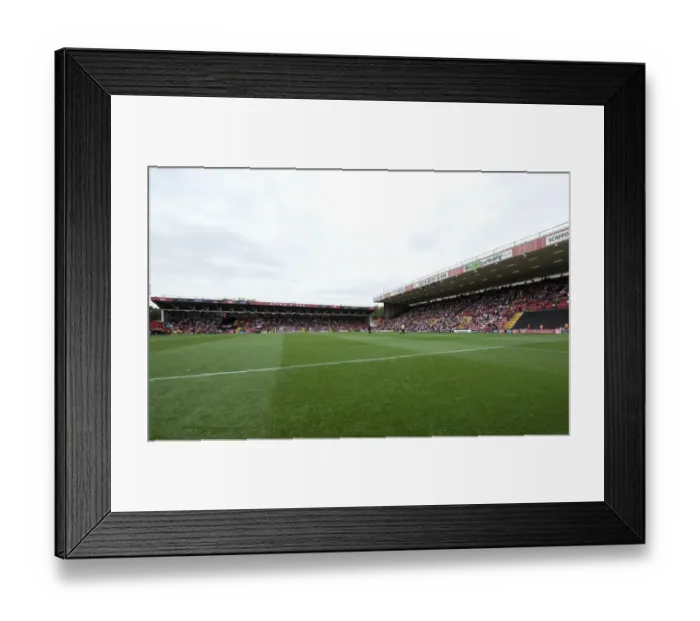 Framed Print : Bristol City vs MK Dons Clash in Sky Bet League One at Ashton Gate, September 2014 Framed Print : Bristol City vs MK Dons Clash in Sky Bet League One at Ashton Gate, September 2014