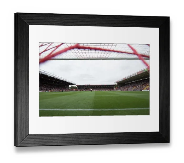 Framed Print : Bristol City vs MK Dons: A Clash in Sky Bet League One at Ashton Gate (September 2014)
