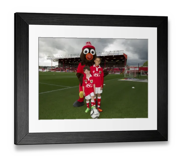 Framed Print : Bristol City vs Chesterfield: Mascots Face-Off in Sky Bet League One Match, Ashton Gate Stadium Framed Print : Bristol City vs Chesterfield: Mascots Face-Off in Sky Bet League One Match, Ashton Gate Stadium
