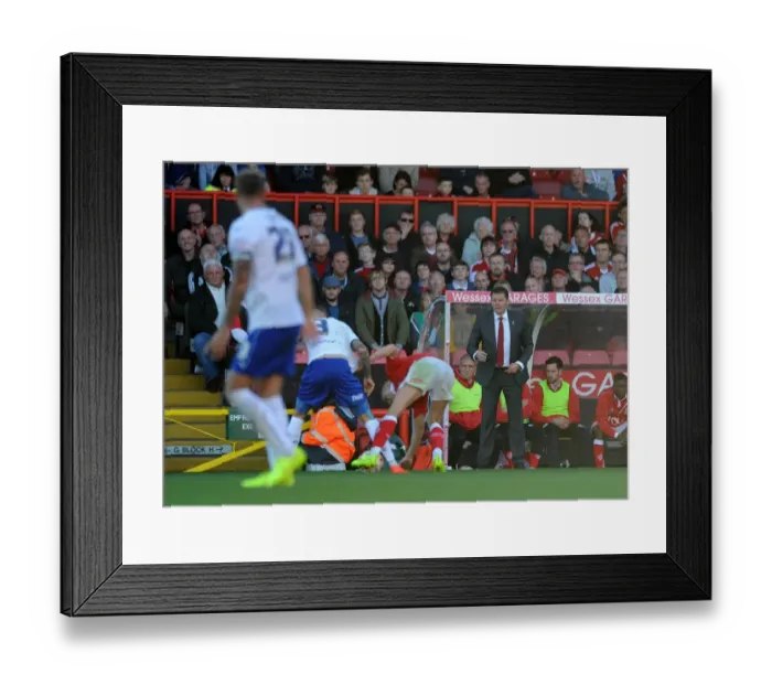 Framed Print : Steve Cotterill Leads Bristol City in Sky Bet League One Match Against Chesterfield Framed Print : Steve Cotterill Leads Bristol City in Sky Bet League One Match Against Chesterfield