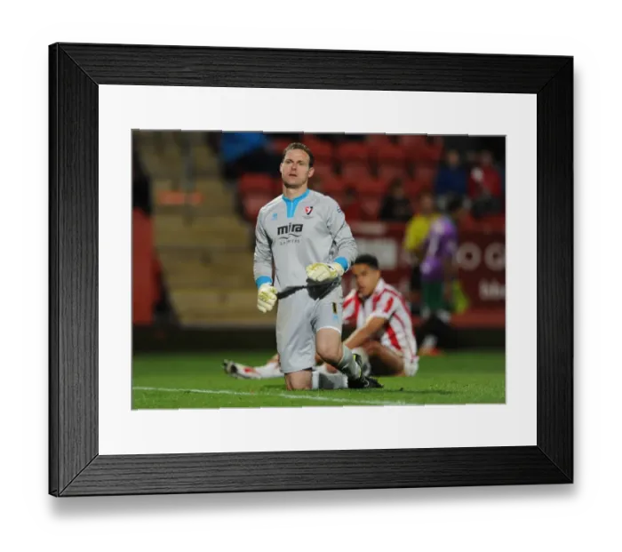 Framed Print : Korey Smith's Goal Mood Swings: Trevor Carson of Cheltenham Town Reacts in Disappointment as Bristol City Celebrates Framed Print : Korey Smith's Goal Mood Swings: Trevor Carson of Cheltenham Town Reacts in Disappointment as Bristol City Celebrates