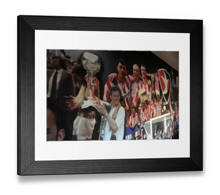 Framed Print : Steve Cotterill Guides Bristol City in Johnstone's Paint Trophy Clash at Cheltenham Town, October 2014