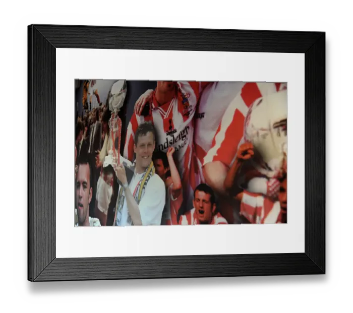 Framed Print : Bristol City's Steve Cotterill Leads Team at Cheltenham Town's Abbey Business Stadium, Johnstone's Paint Trophy Match, October 8, 2014