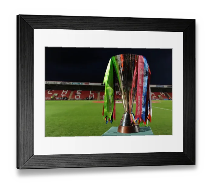 Framed Print : Bristol City vs Cheltenham Town: A Showdown in the Johnstone's Paint Trophy at Abbey Business Stadium (October 8, 2014) Framed Print : Bristol City vs Cheltenham Town: A Showdown in the Johnstone's Paint Trophy at Abbey Business Stadium (October 8, 2014)