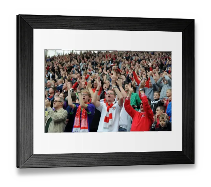 Framed Print : Bristol City Celebrate Promotion: Final Whistle Thrills at Coventry City (181014)