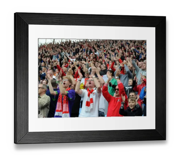 Framed Print : Bristol City's Euphoric Victory: The Final Whistle Celebration vs. Coventry City (181014) Framed Print : Bristol City's Euphoric Victory: The Final Whistle Celebration vs. Coventry City (181014)