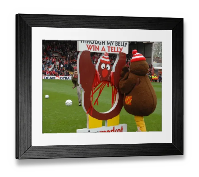 Framed Print : Brendon Mitchell Framed Print : Brendon Mitchell