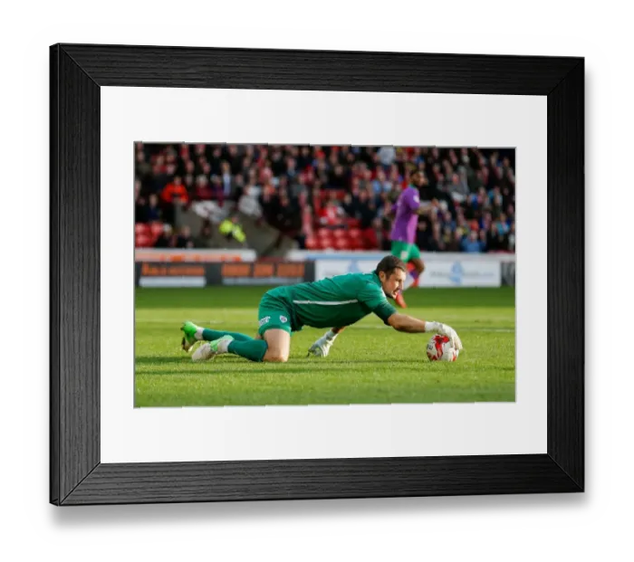Framed Print : Barnsley vs. Bristol City: Ross Turnbull in Action, Oakwell Stadium, 2014 Framed Print : Barnsley vs. Bristol City: Ross Turnbull in Action, Oakwell Stadium, 2014