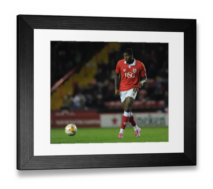 Framed Print : Bristol City v Bradford City 211014