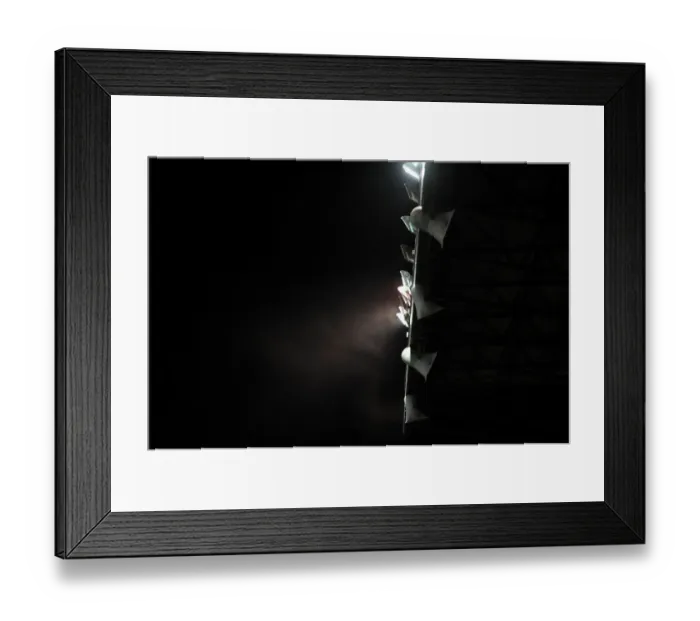 Framed Print : Red Smoke at Ashton Gate: Intense Moment from Bristol City vs. Bradford City Football Match, October 2014 Framed Print : Red Smoke at Ashton Gate: Intense Moment from Bristol City vs. Bradford City Football Match, October 2014