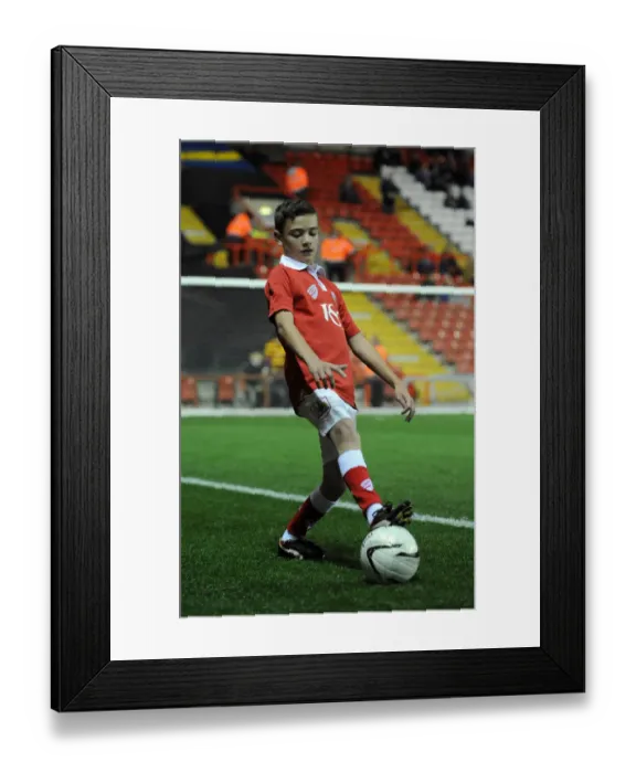 Framed Print : Intense Moment at Ashton Gate: Bristol City vs Bradford City Clash, Sky Bet League One (2014)