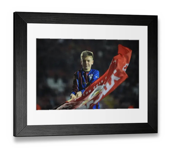 Framed Print : Flag-Bearing Moment: Bristol City vs Bradford City, Sky Bet League One (2014) Framed Print : Flag-Bearing Moment: Bristol City vs Bradford City, Sky Bet League One (2014)