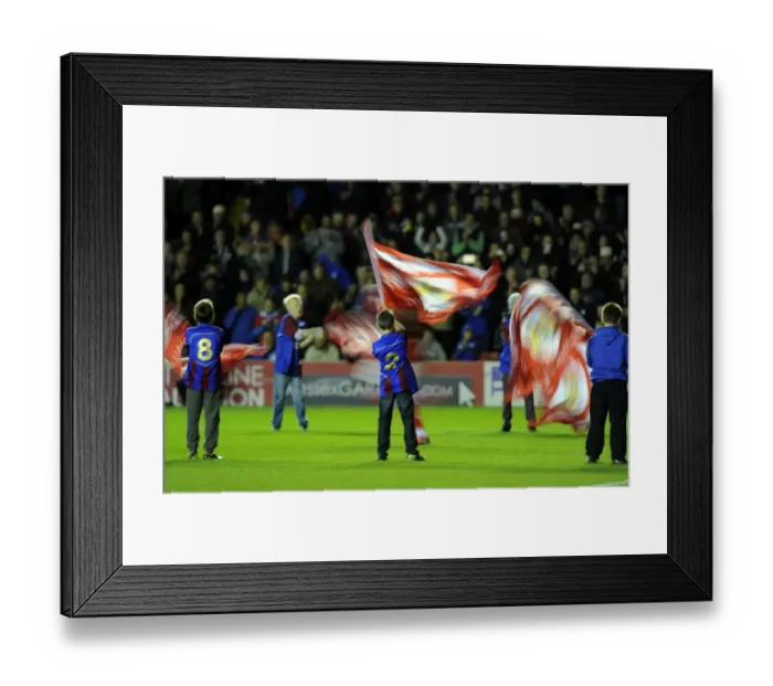 Framed Print : Bristol City Welcomes Bradford City: Guard of Honor at Ashton Gate, October 2014 Framed Print : Bristol City Welcomes Bradford City: Guard of Honor at Ashton Gate, October 2014