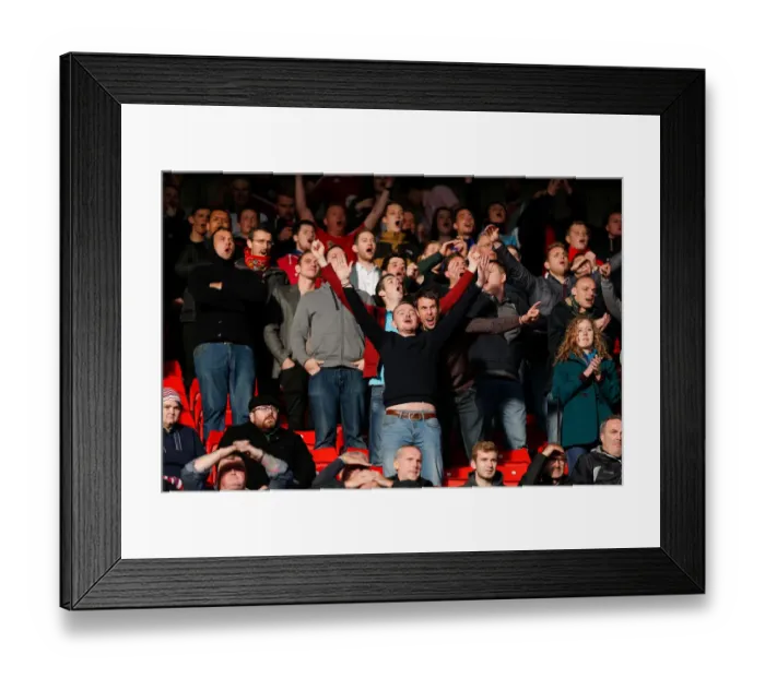 Framed Print : Bristol City Fans Watch Tense Moments at Barnsley's Oakwell Stadium, 2014 Framed Print : Bristol City Fans Watch Tense Moments at Barnsley's Oakwell Stadium, 2014