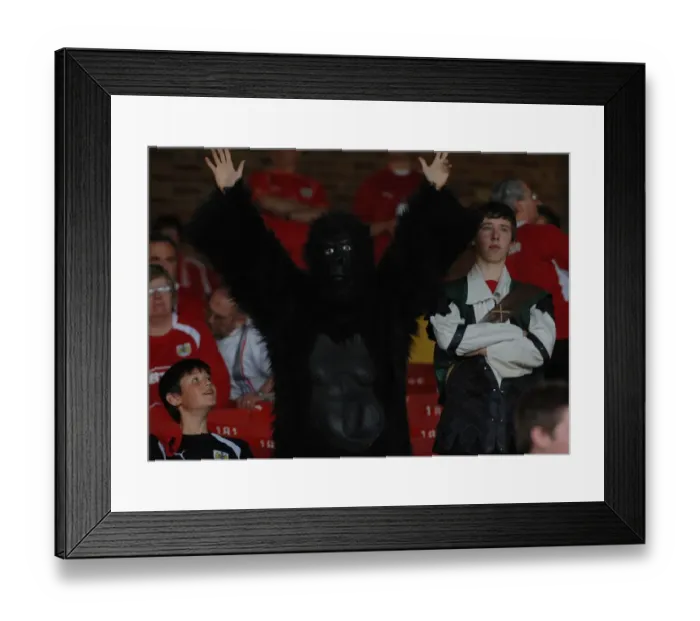 Framed Print : Bristol City FC: Unwavering Passion of Devoted Fans Framed Print : Bristol City FC: Unwavering Passion of Devoted Fans