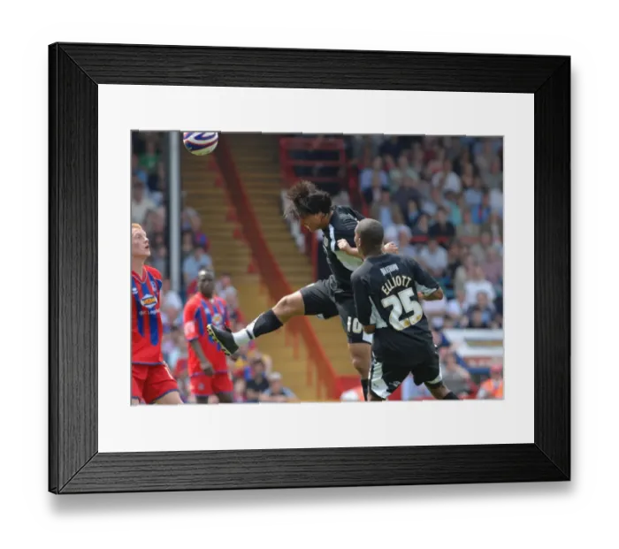 Framed Print : carle header Framed Print : carle header