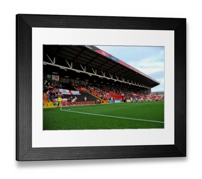 Framed Print : Bristol City vs Oldham: Football Rivalry at Ashton Gate, November 2014 Framed Print : Bristol City vs Oldham: Football Rivalry at Ashton Gate, November 2014