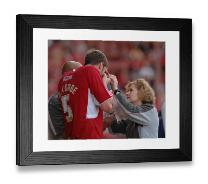Framed Print : Bristol City's Jamie McCombe and Nick Dawes in Action during the Play-Off Clash against Crystal Palace Framed Print : Bristol City's Jamie McCombe and Nick Dawes in Action during the Play-Off Clash against Crystal Palace