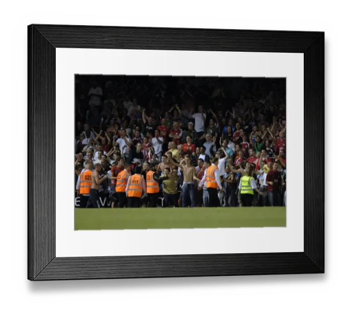 Framed Print : Bristol City vs. Crystal Palace: 2007-08 Play-Off Showdown