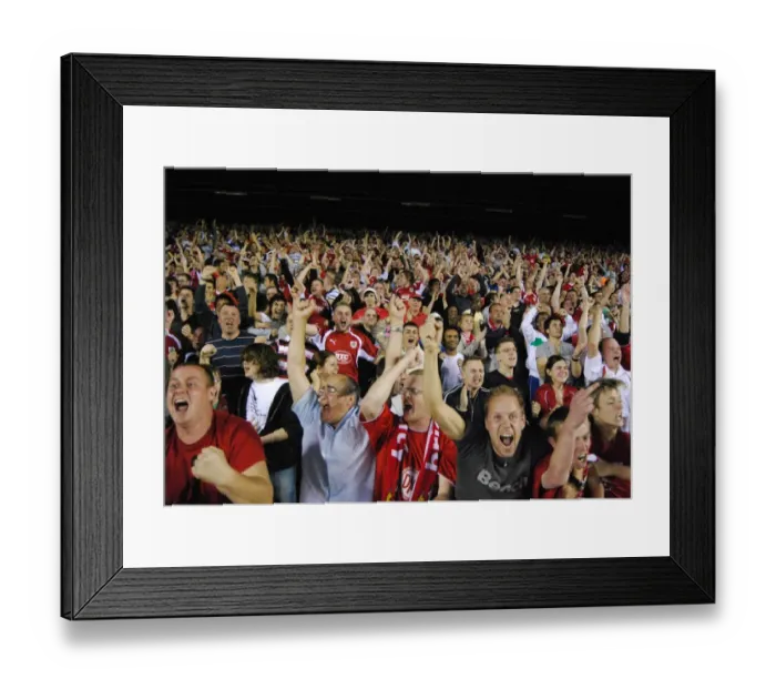 Framed Print : Bristol City vs. Crystal Palace: The Play-Off Showdown (Season 07-08) Framed Print : Bristol City vs. Crystal Palace: The Play-Off Showdown (Season 07-08)