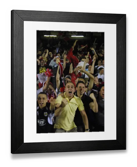 Framed Print : Bristol City vs. Crystal Palace: The Intense 2007-08 Play-Off Showdown Framed Print : Bristol City vs. Crystal Palace: The Intense 2007-08 Play-Off Showdown