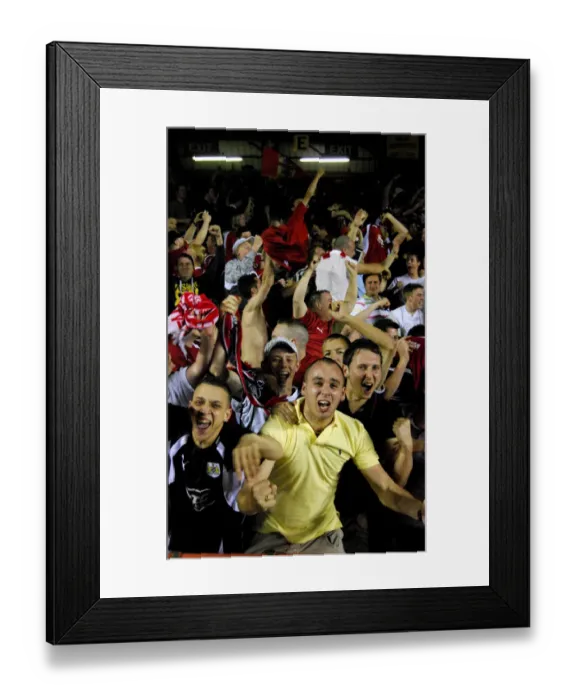 Framed Print : The Play-Off Battle: Bristol City vs. Crystal Palace (Season 07-08)