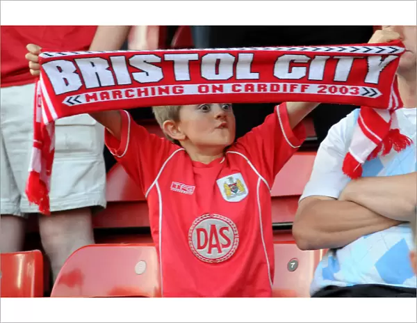 Bristol City vs. Crystal Palace: The Play-Off Showdown (Season 07-08)