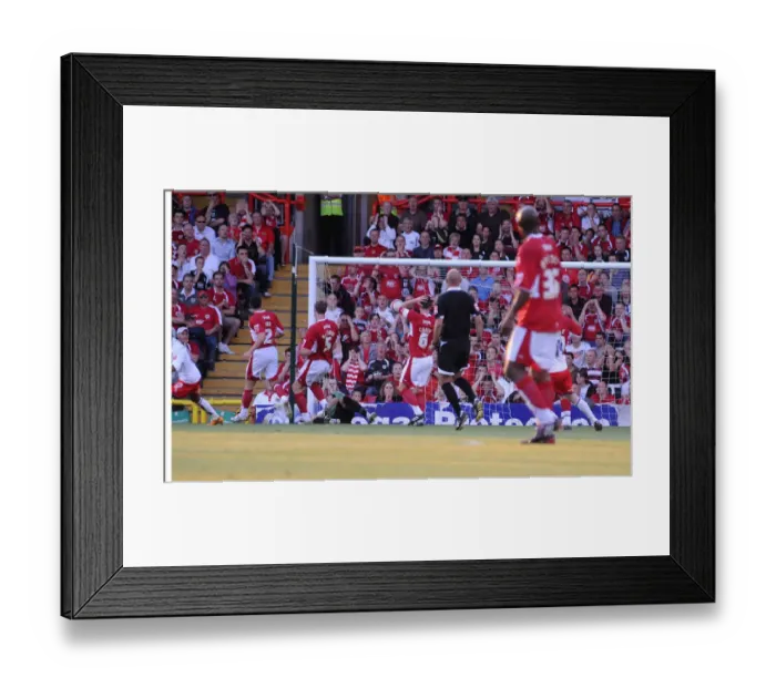 Framed Print : Bristol City vs. Crystal Palace: 2007-08 Play-Off Showdown